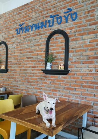 Imagen general del Hotel Ginger Bread House - Pet Lover Resort. Foto 14