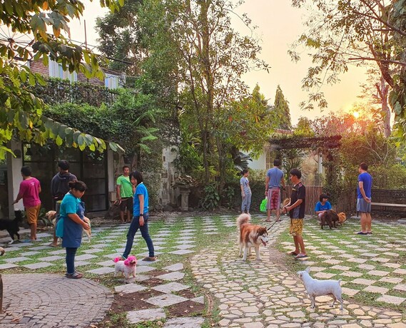 Imagen de los exteriores del Hotel Ginger Bread House - Pet Lover Resort. Foto 17