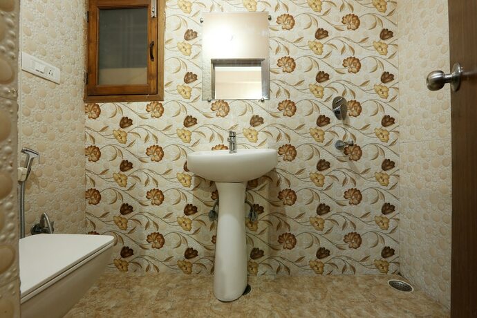 Imagen general del Hotel Ginger Palace. Foto 4