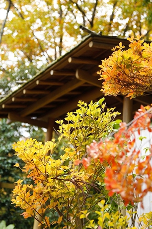 Imagen de los exteriores del Hotel Ginsuiso Bekkan Choraku. Foto 6