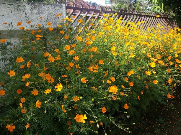 Imagen general del Hotel Gio Guesthouse Bogor. Foto 5