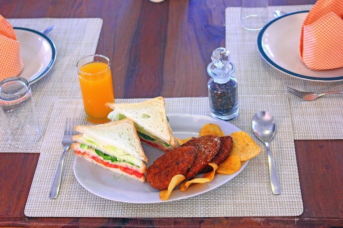 Imagen general del Hotel Gir Birding Lodge. Foto 6