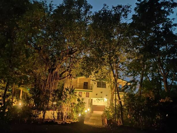 Imagen general del Hotel Gir Birding Lodge. Foto 8