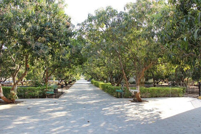 Imagen general del Hotel Gir Jungle Lodge. Foto 1