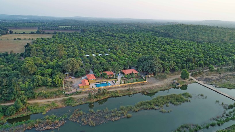 Imagen general del Hotel Gir Lion Safari Camp. Foto 3