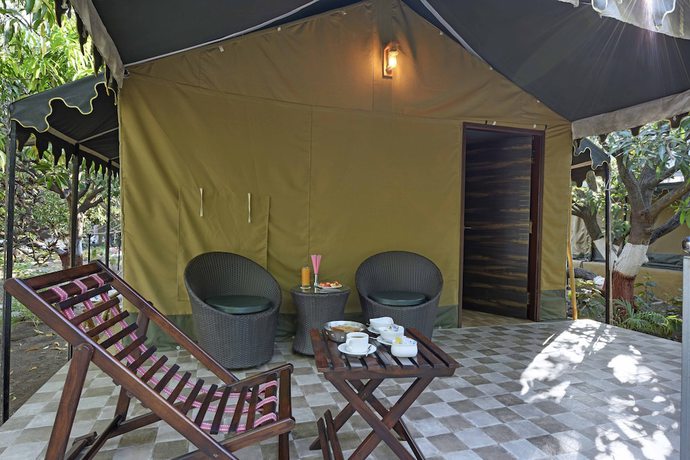 Imagen de la habitación del Hotel Gir Lion Safari Camp. Foto 8