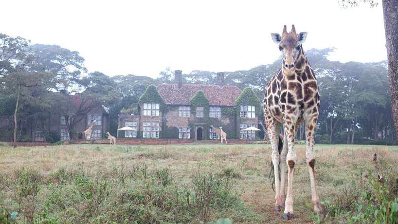 Imagen general del Hotel Giraffe Manor. Foto 4