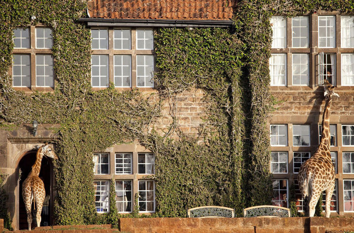 Imagen general del Hotel Giraffe Manor. Foto 8