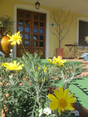 Imagen general del Hotel Girasole, Civitanova Marche. Foto 2