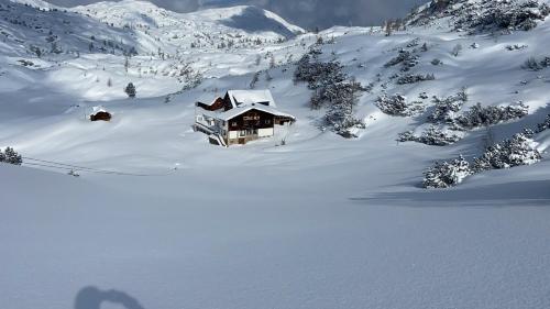 Imagen general del Hotel Gjaid-Alm 1739m am Dachstein-Only Accessible by Cable Car. Foto 3