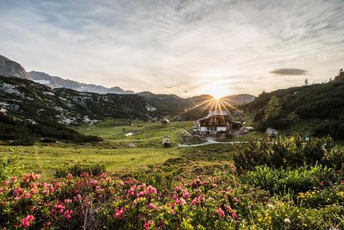 Imagen general del Hotel Gjaid-Alm 1739m am Dachstein-Only Accessible by Cable Car. Foto 11