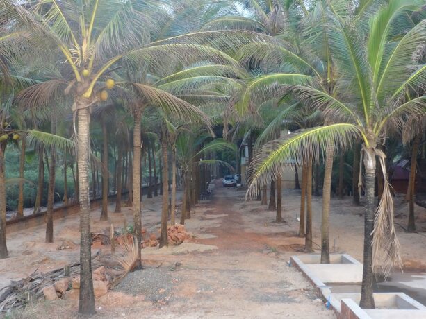Imagen general del Hotel Gk Beach Resort. Foto 1