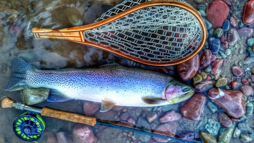 Imagen general del Hotel Glacier Guides Lodge. Foto 18