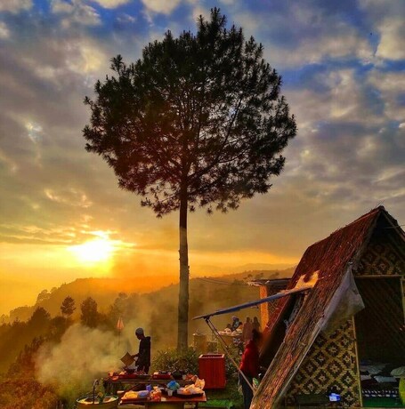 Imagen general del Hotel Glamping Ciwidey Argapuri. Foto 14