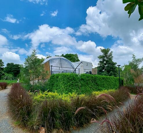 Imagen general del Hotel Glamping Hill Khaoyai. Foto 4