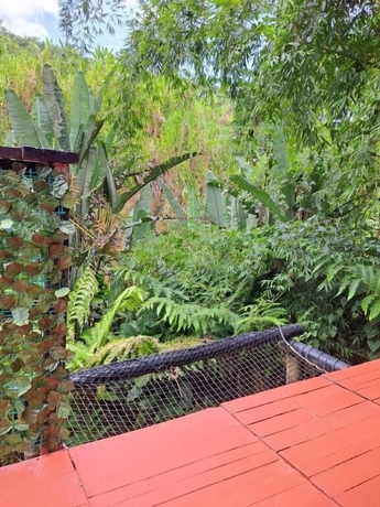 Imagen de los exteriores del Hotel Glamping Horse. Foto 9