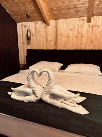 Imagen de la habitación del Hotel Glamping Resort Halicanum. Foto 3
