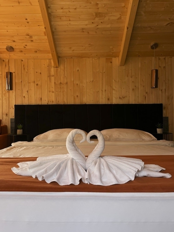 Imagen de la habitación del Hotel Glamping Resort Halicanum. Foto 9