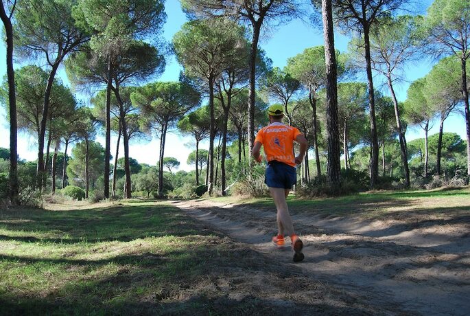 Imagen general del Hotel Glamping Sevilla. Foto 9