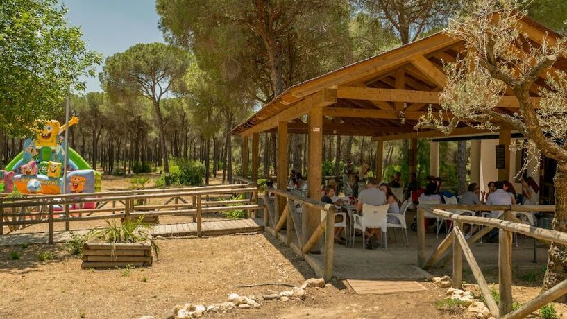 Imagen general del Hotel Glamping Sevilla. Foto 12