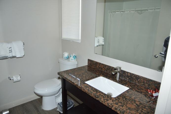 Imagen general del Hotel Glass Slipper Inn - Stanford Palo Alto. Foto 7