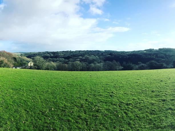 Imagen de los exteriores del Hotel Glebe Hall. Foto 7