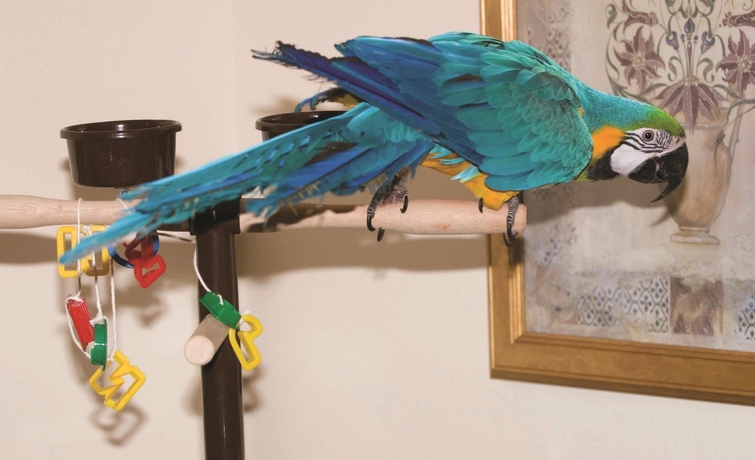 Imagen de la habitación del Hotel Glenspean Lodge. Foto 16