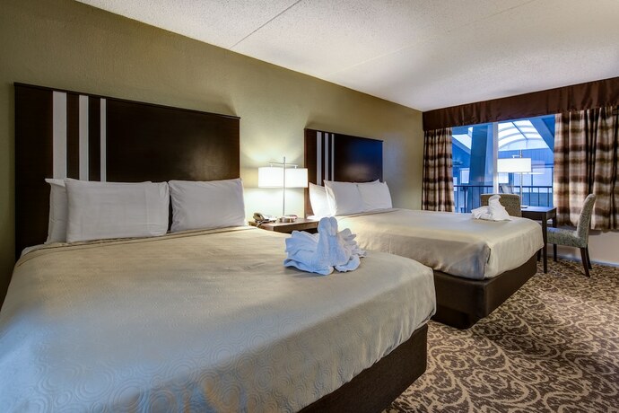Imagen de la habitación del Hotel Glenstone Lodge. Foto 11