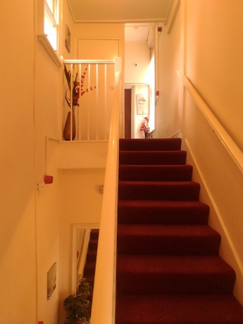 Imagen de los interiores del Hotel Global Lodge. Foto 19