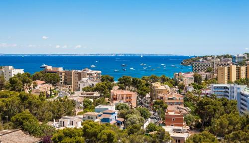 Imagen general del Hotel Globales Mimosa. Foto 2