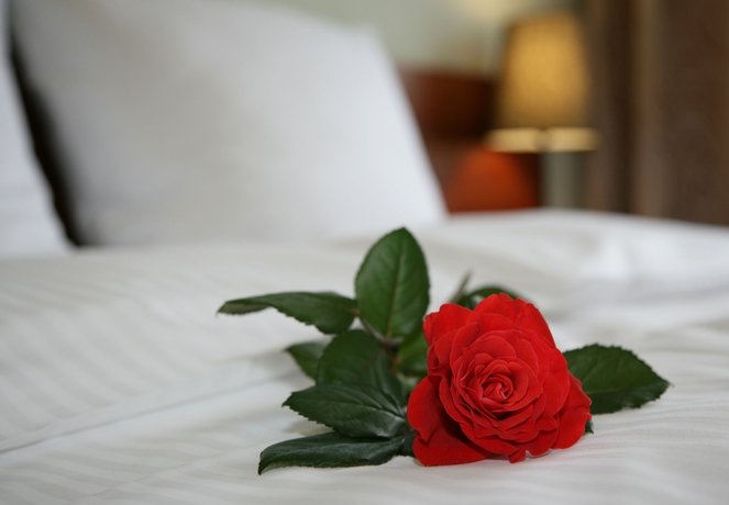 Imagen de la habitación del Hotel Globus, Cracovia. Foto 8