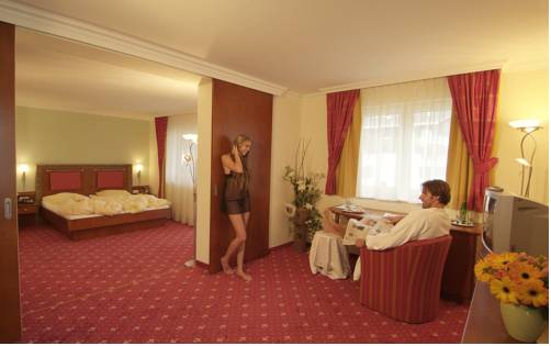 Imagen de la habitación del Hotel Glockenstuhl. Foto 14