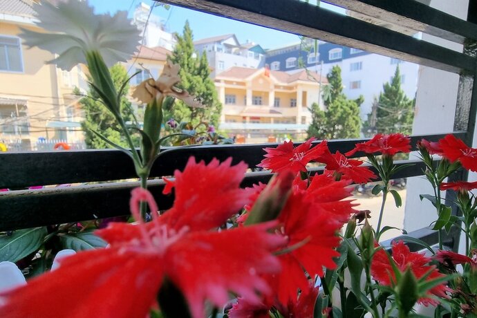 Imagen general del Hotel Glory - Gia Huy. Foto 8