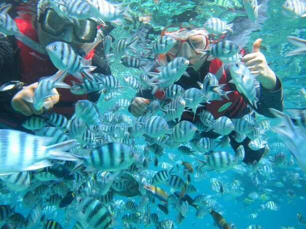 Imagen general del Hotel Go Deeper Tioman. Foto 17