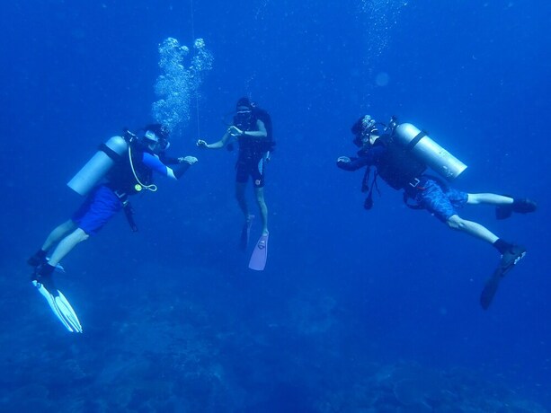 Imagen general del Hotel Go Deeper Tioman. Foto 4