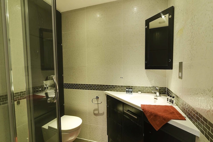 Imagen de la habitación del Hotel Go Native Oxford Street / Regents Park. Foto 14