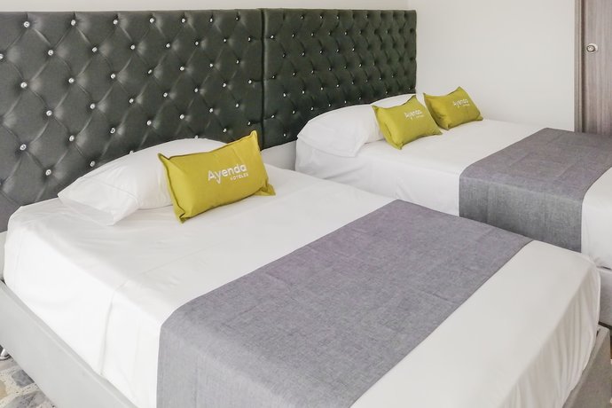 Imagen de la habitación del Hotel Go, Pereira. Foto 9