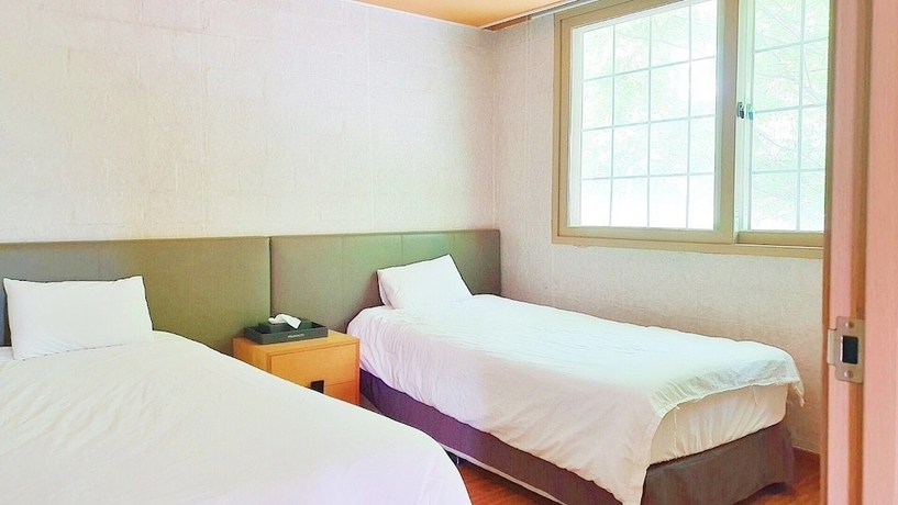 Imagen de la habitación del Hotel GoChang Well Park City Healing County. Foto 15