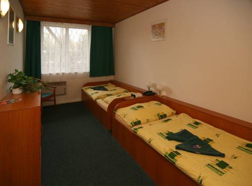 Imagen de la habitación del Hotel G&oacute;l Garni. Foto 16