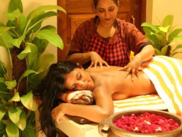 Imagen general del Hotel Goan Heritage. Foto 1