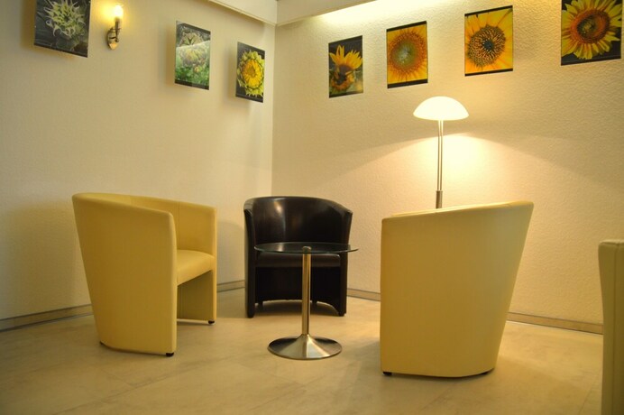 Imagen general del Hotel Goethe-Haus. Foto 4