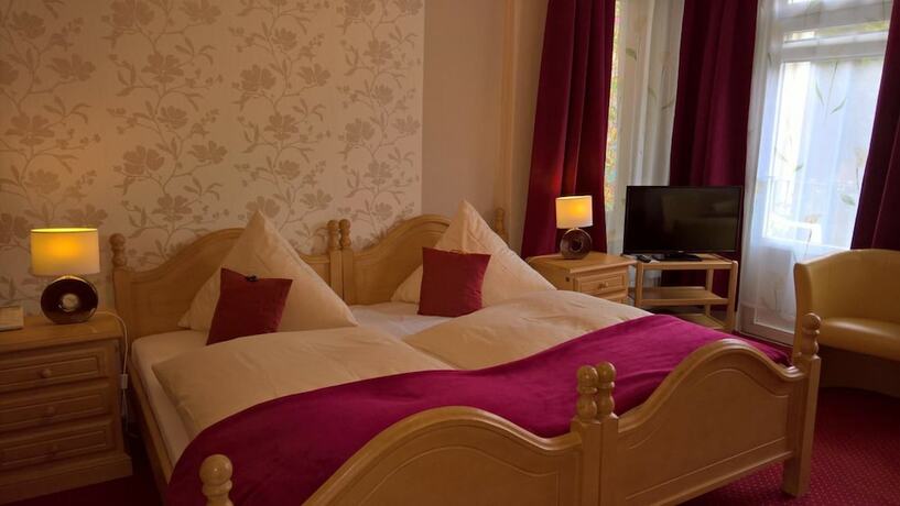 Imagen general del Hotel Goethe-Haus. Foto 5