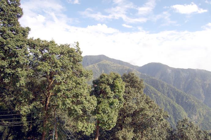 Imagen de los exteriores del Hotel Goher. Foto 4