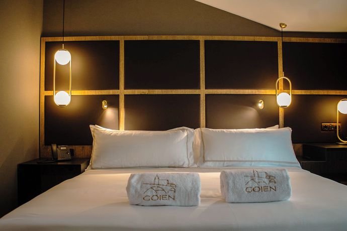 Imagen de la habitación del Hotel Goien Boutique. Foto 13