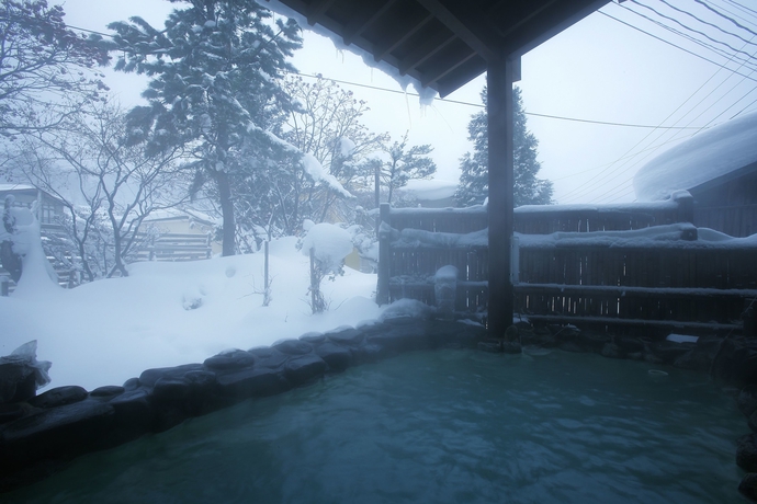 Imagen de la piscina del Hotel Gokan No Yu Tsuruya. Foto 15