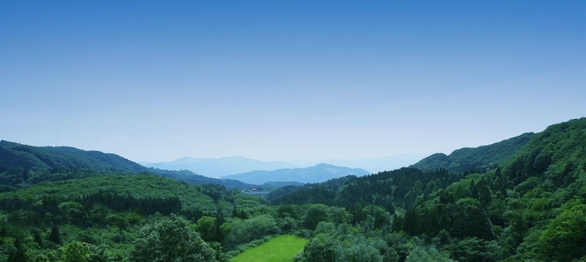 Imagen general del Hotel Gokan No Yu Tsuruya. Foto 2