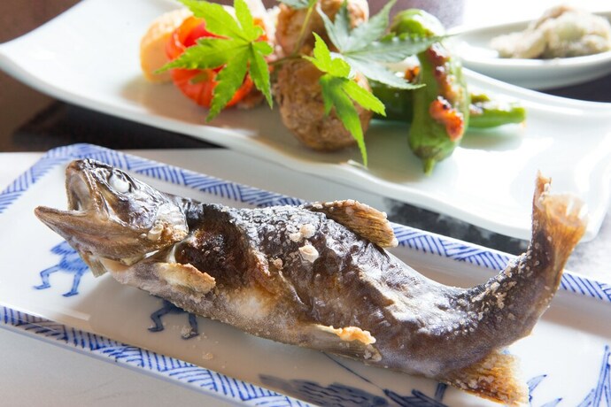 Imagen del bar/restaurante del Hotel Gokasanso. Foto 27