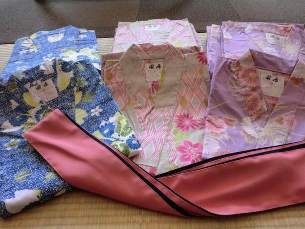 Imagen general del Hotel Gokasanso. Foto 5