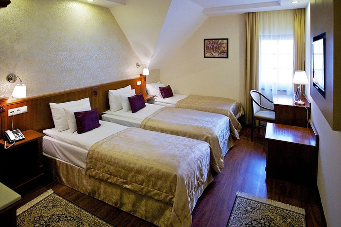 Imagen de la habitación del Hotel Gold Budapest. Foto 13