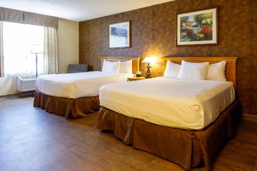 Imagen de la habitación del Hotel Gold Country Inn and Casino by Red Lion Hotels. Foto 16